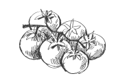 about-us-icon-2.png