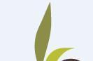 favicon.jpg